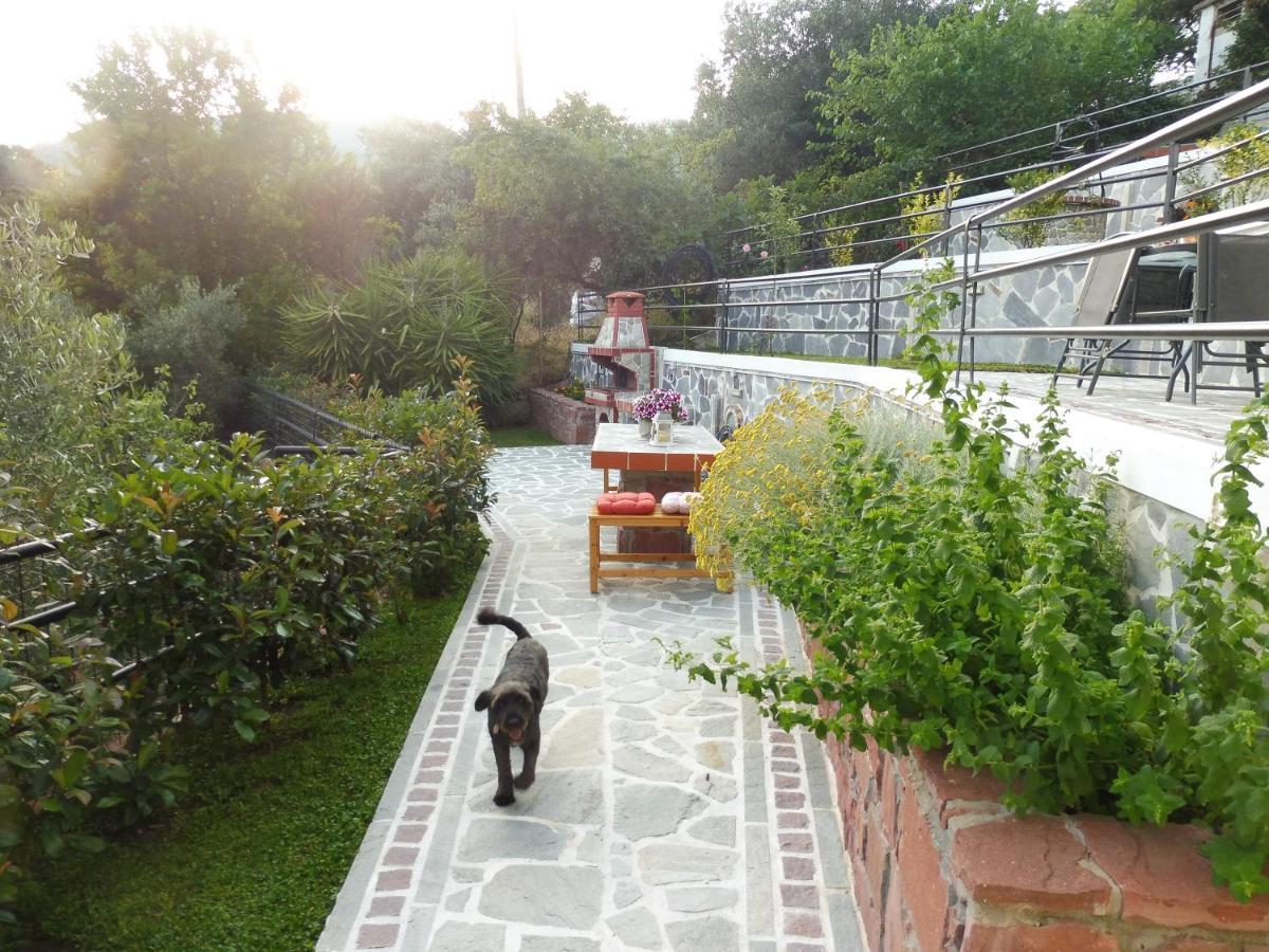 Helianthos Villa - Apartment No1 PalaiónTsiflíkion Dış mekan fotoğraf