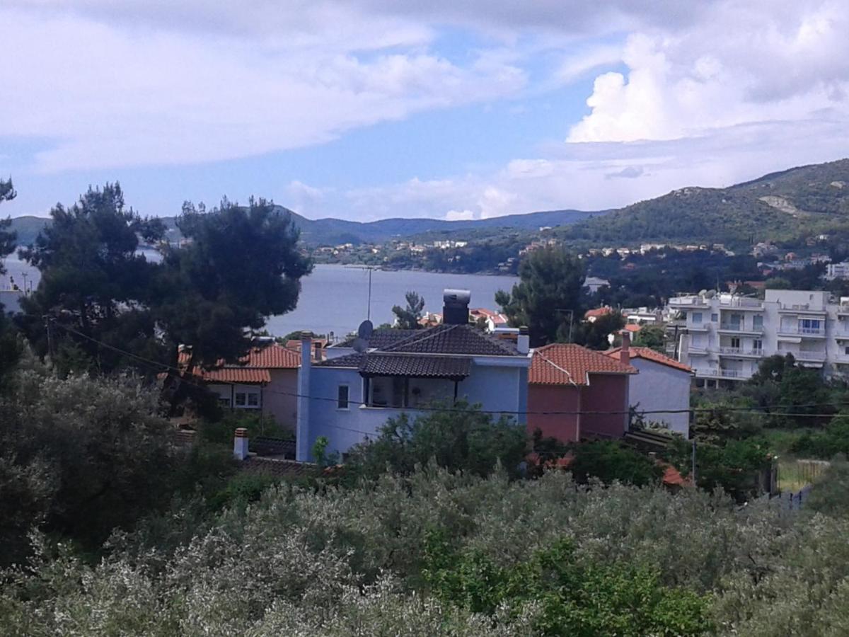 Helianthos Villa - Apartment No1 PalaiónTsiflíkion Dış mekan fotoğraf